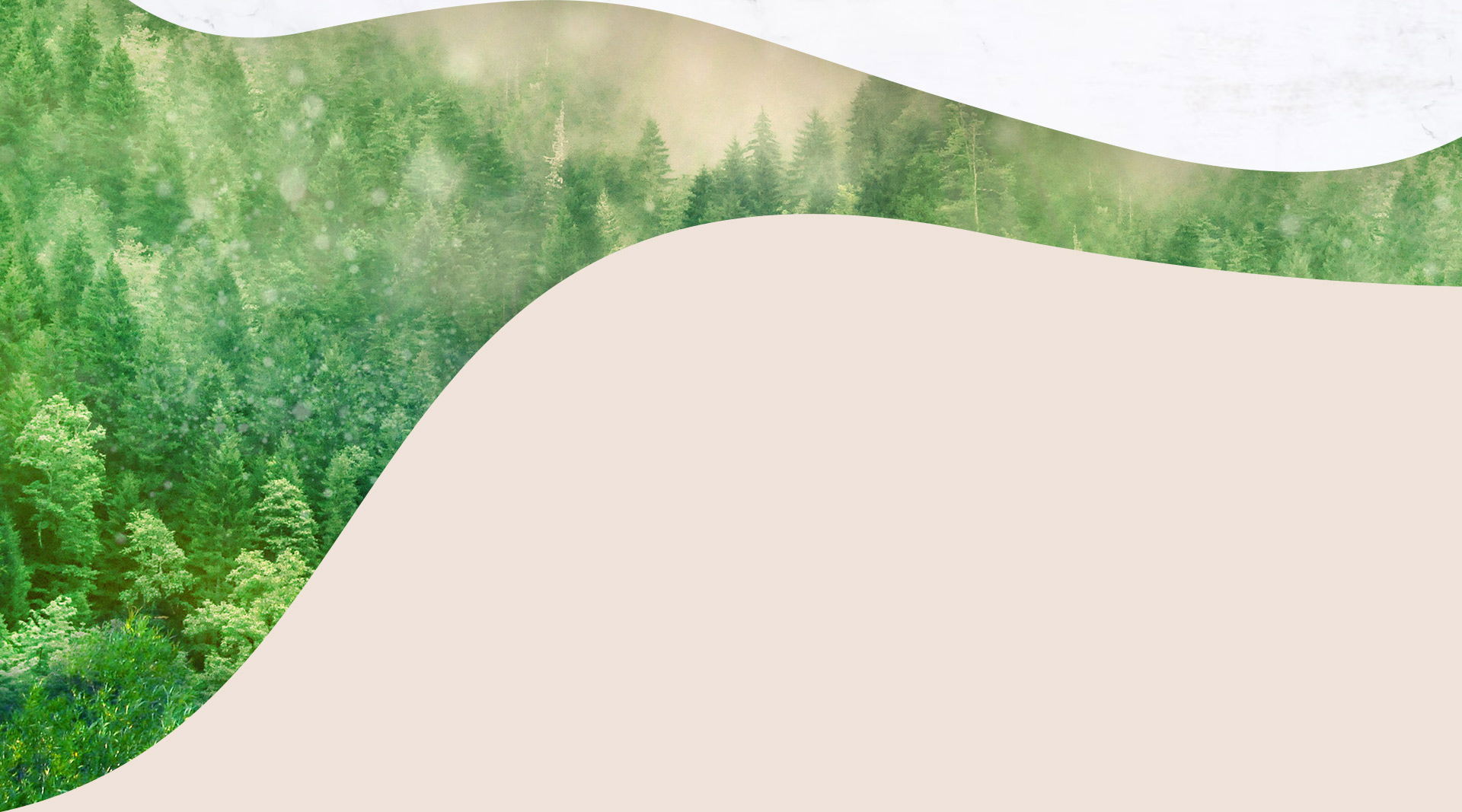 新聞資訊-1920*1067